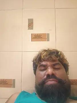bigdog_ds
