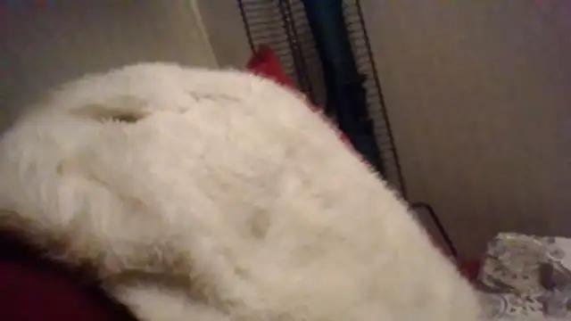 billyjoeslzlk