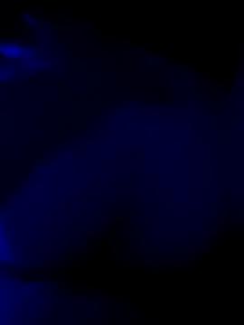 biuss11