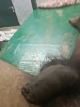 blackchocolateforest