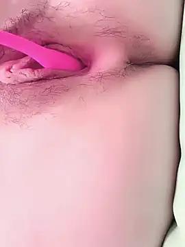 bnjss