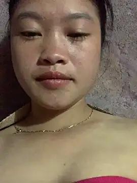bolo-yang