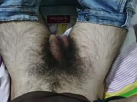 bomvemcam