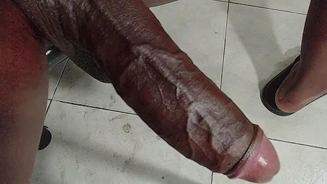 brant_garciabbc