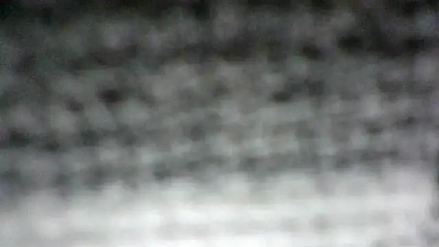bruttwo