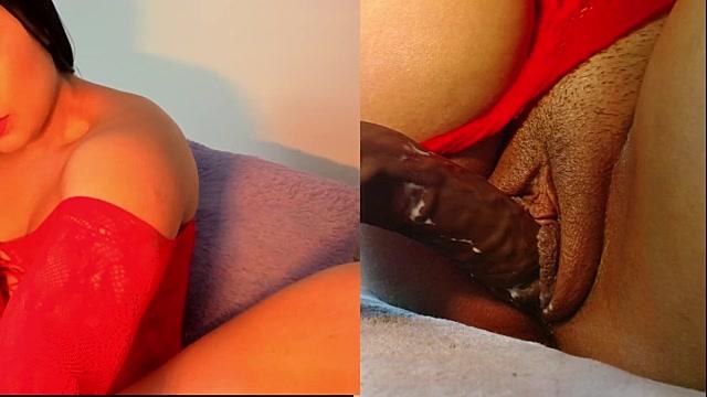 catavega1