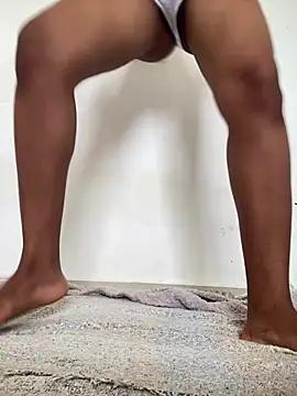 chief-model