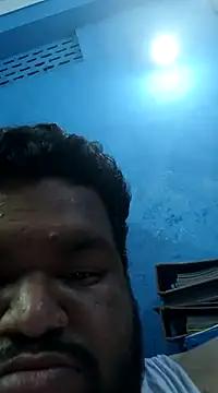 chintu_cock