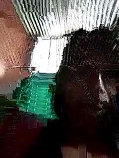 cristel_DP