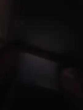 danko2979