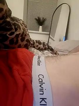 dbigd1404