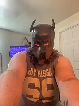 dogboybruisebaitt