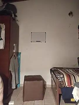 ellaltinoarg