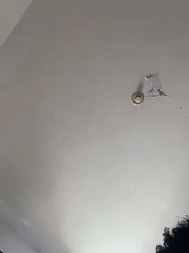 estrellla1