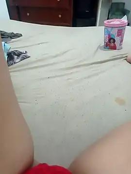 gatasofi