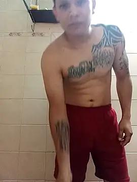 gatitamala10