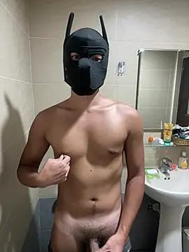 haogymdog