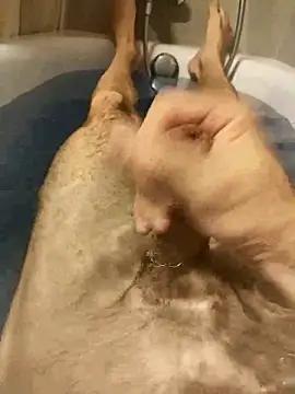 hirnibub