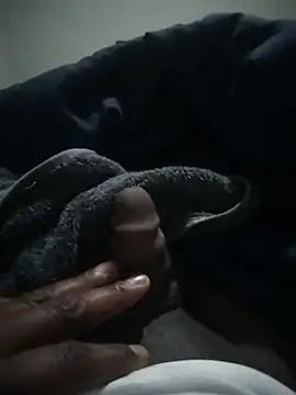hornytray