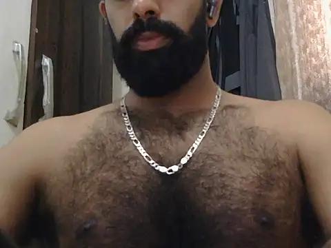 indianhairybull