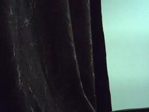 ivvy_1