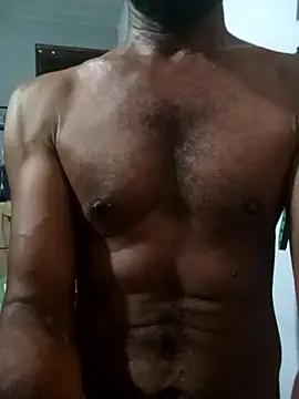 lankastud