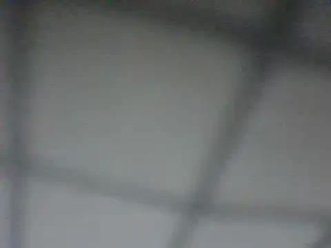 lesteven1