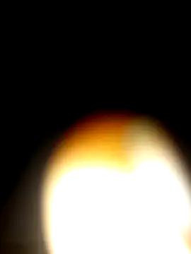 licalo56