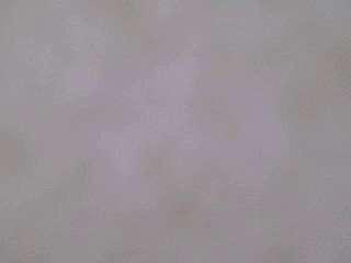 lijiao22