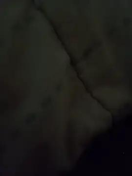 luiztesaok