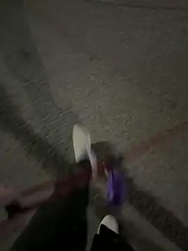 maiolullo