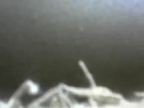 nastycouple123