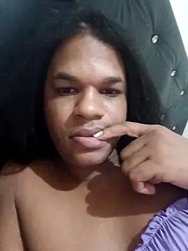 paolalarealplatano