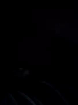 pauzudopt345