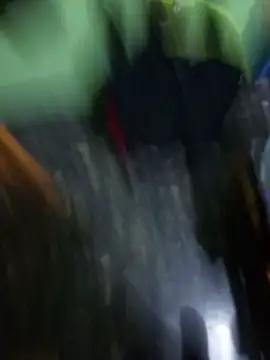 perritaobediente9