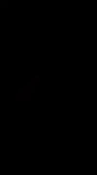 pie_23