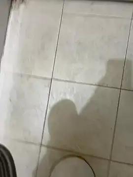 punemodel12