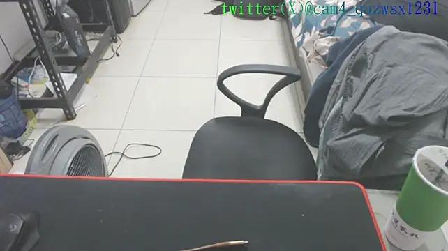 qazwsx_cam4