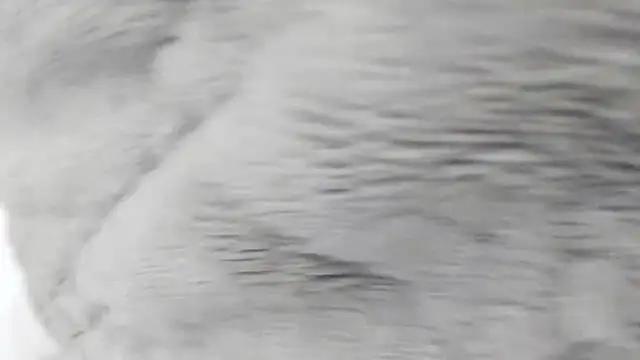 qwe1312620