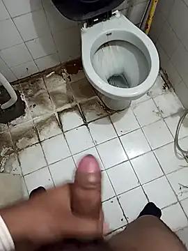 rentalboy29