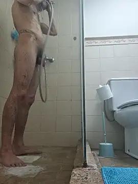robertilevis