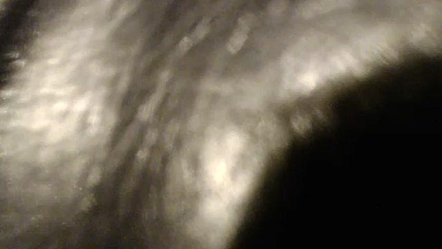 ruhornyiam2