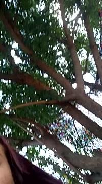 salome_cruz