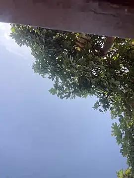 sarasexy11