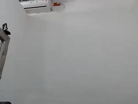 shameboy