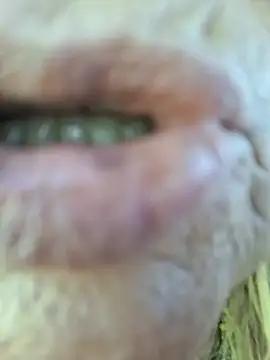 sissysexy2026