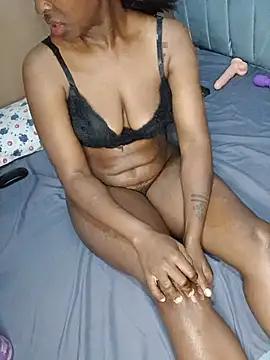 stallion_54