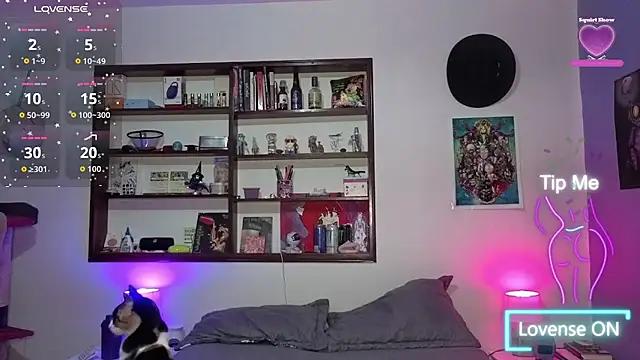 stephania_t