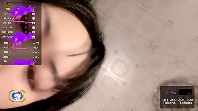 szxiaoxue