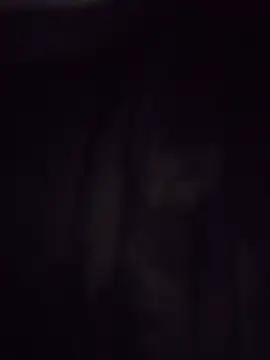 taigaakko